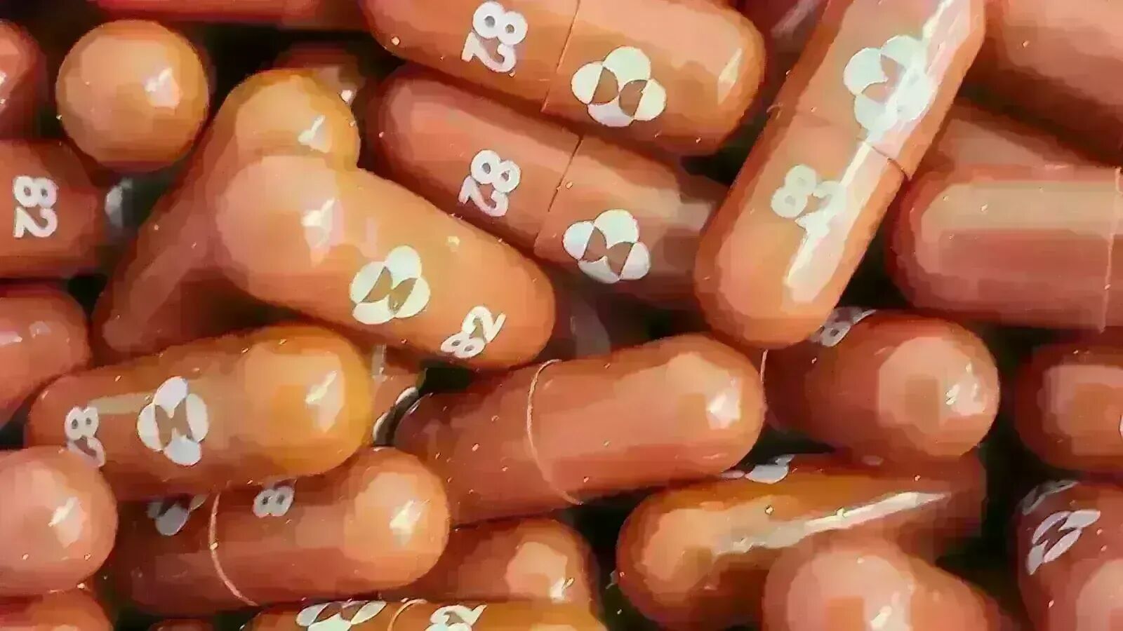 Corona Virus Medicine: India’s new weapon on Corona, soon Made in India ‘Molnupiravir’ drug will get approval.  1 News Track English