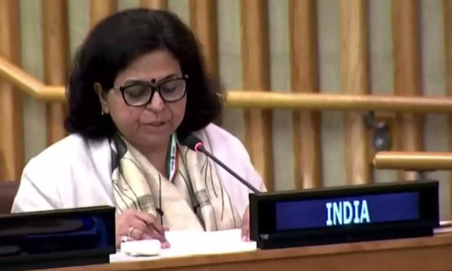 UNSC में भारत का पाक को तीखा जवाब, कश्मीर पर अवैध कब्जा तुरंत छोड़ो, अनुकूल माहौल में ही बातचीत संभव