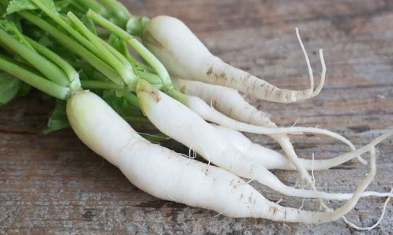 Sardi Me Muli Khane Ke Fayde: Radish has tremendous benefits in winter, know the right time to eat it.  1 News Track English