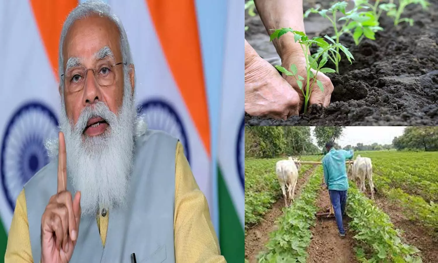 PM Modi Focuse On Natural Agriculture: लोकभारती वाराणसी में करने जा रही है राष्ट्रीय कार्यशाला, प्राकृतिक खेती से जुड़े किसानों व वैज्ञानिकों का होगा जमावड़ा