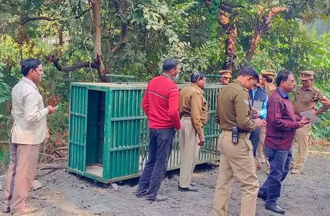 सावधान! कानपुर शहर में खुलेआम घूम रहा है तेंदुआ, पुलिस व वन विभाग ने लोगों को दी सतर्क रहने की सलाह