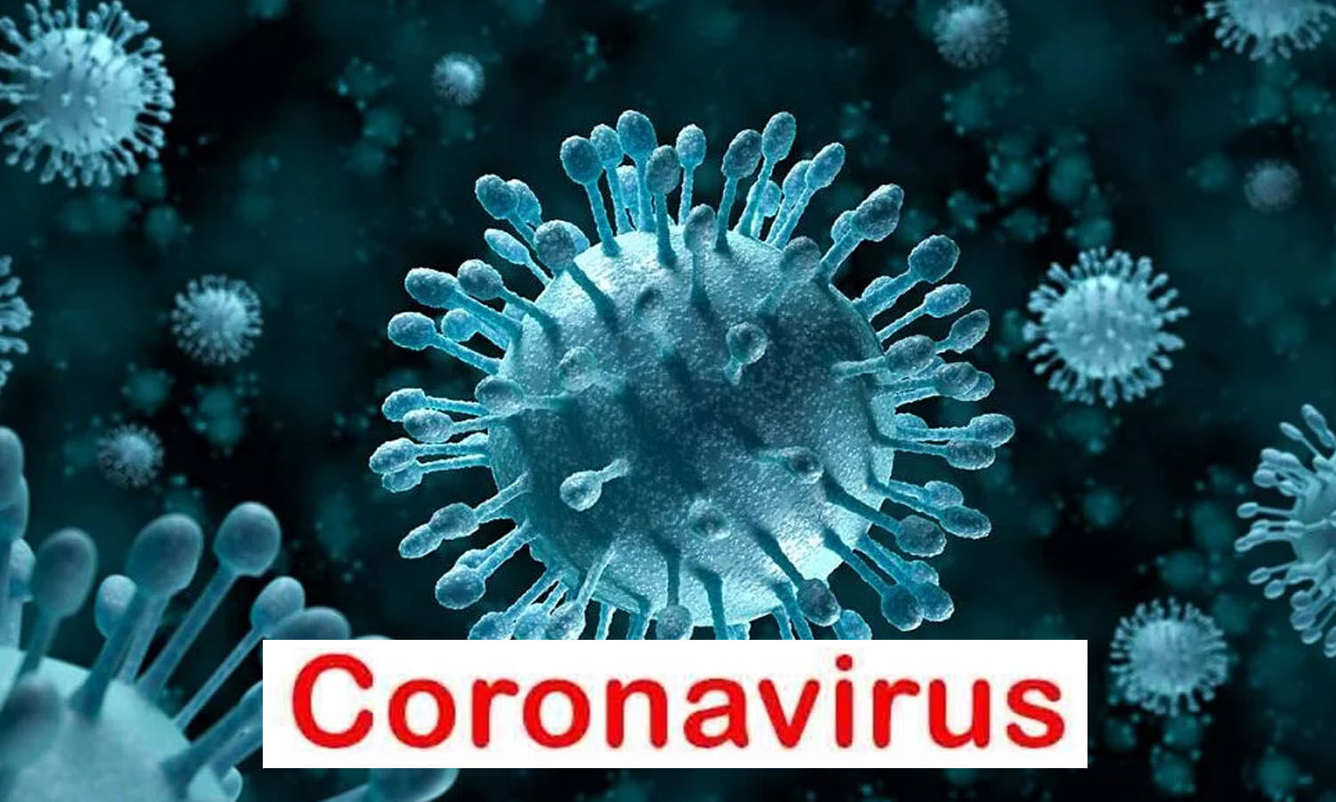 Coronavirus in India: Isolation only 5 days for those without symptoms, read full news  1 News Track English