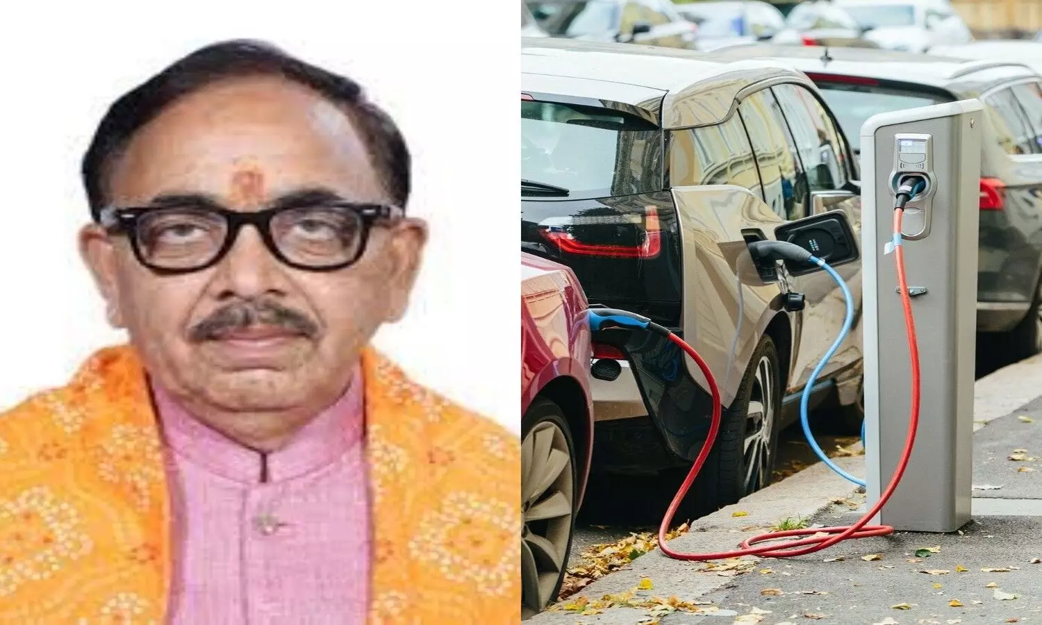 India ready to lead electric vehicle industry India Environment Industries Minister Dr. Mahendra Nath Pandey