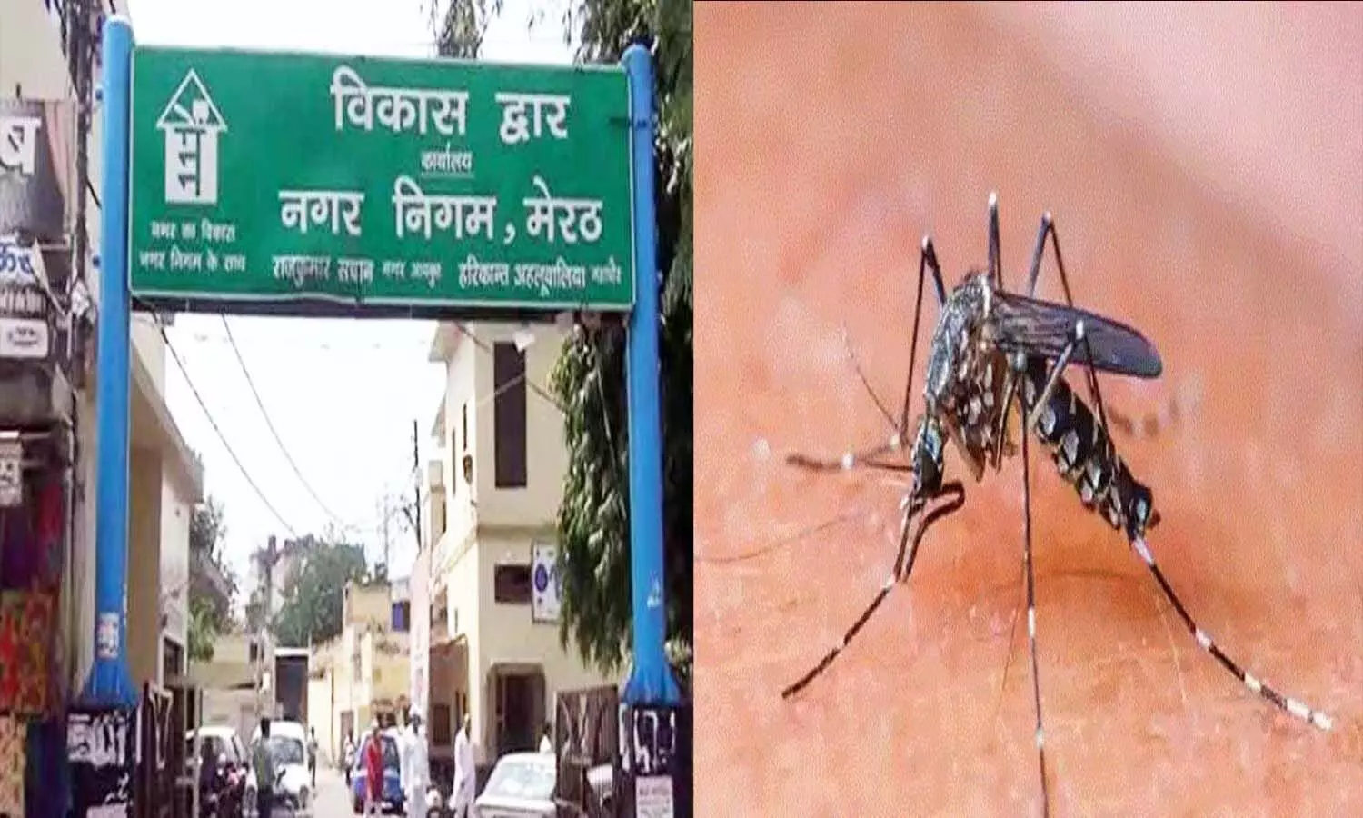 Meerut News: Dengue, which caused the most havoc in UP, was sluggish in Meerut, today only one patient was found