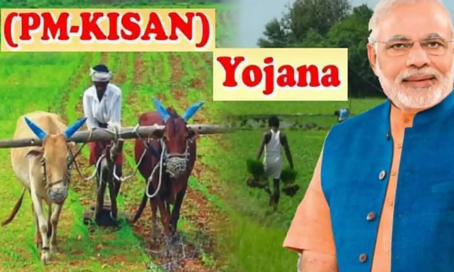 PM Kisan Yojana: किसानों की बल्ले बल्ले, नए साल से पहले मोदी सरकार खातों में भेजेगी करोड़ों रुपये