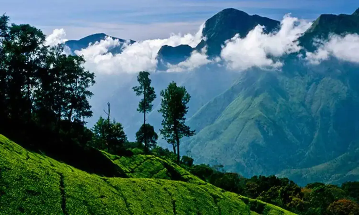 Tamil Nadu Nilgiri Mountains