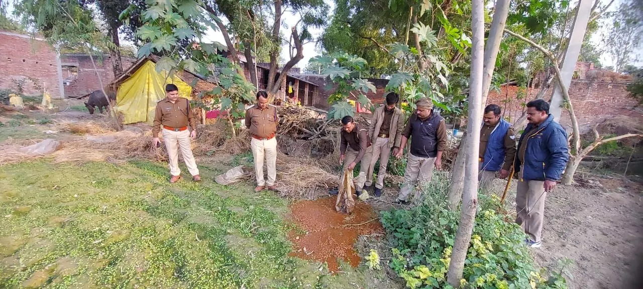 Raebareli News: 60 लीटर अवैध कच्ची शराब और 600 किलो ग्राम महुआ को पुलिस ने किया नष्ट, 3 लोगों पर केस दर्ज