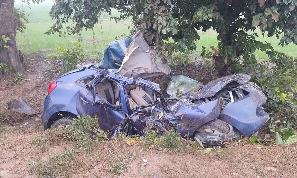 Three friends died after speeding car collided with tree