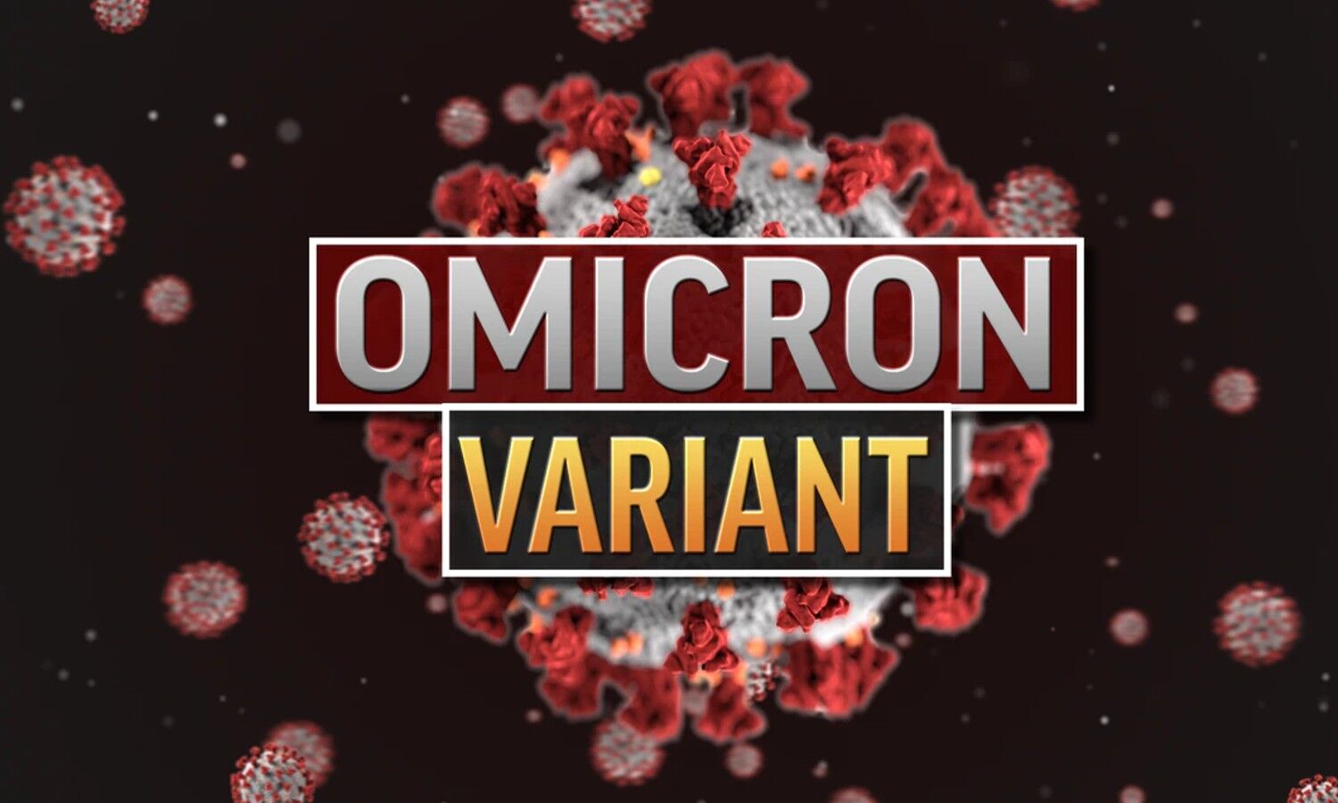 Omicron Symptoms: These symptoms are seen in people infected with the new variant, the same is seen in people who have been vaccinated.  1 News Track English