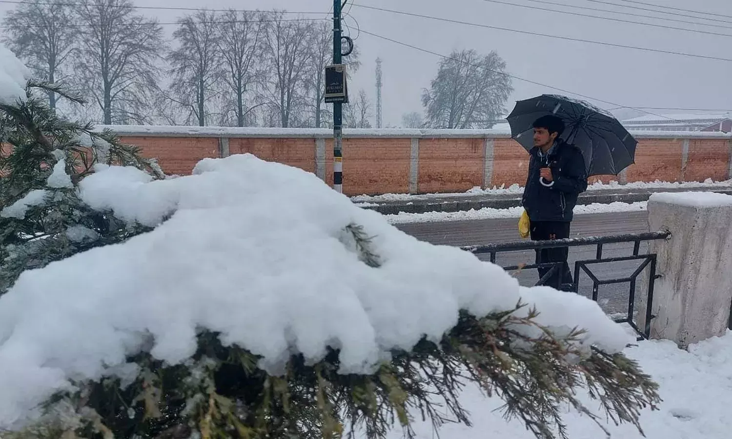 Snowfall in India: इन जगहों पर बर्फबारी का भीषण कहर, जगह-जगह बंद हुए नेशनल हाईवे