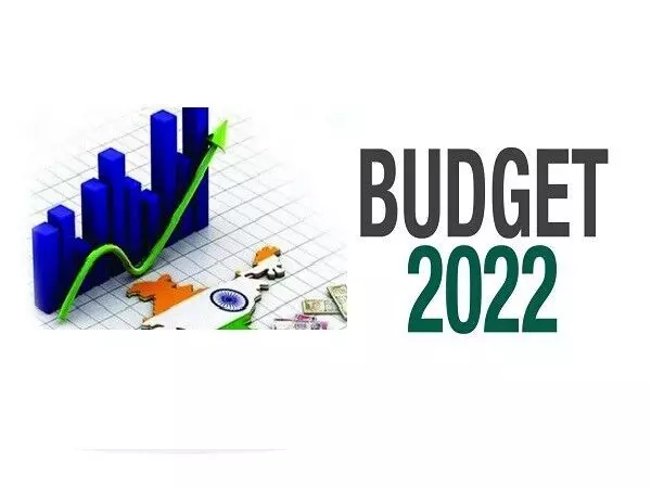 union budget 2022 crude oil