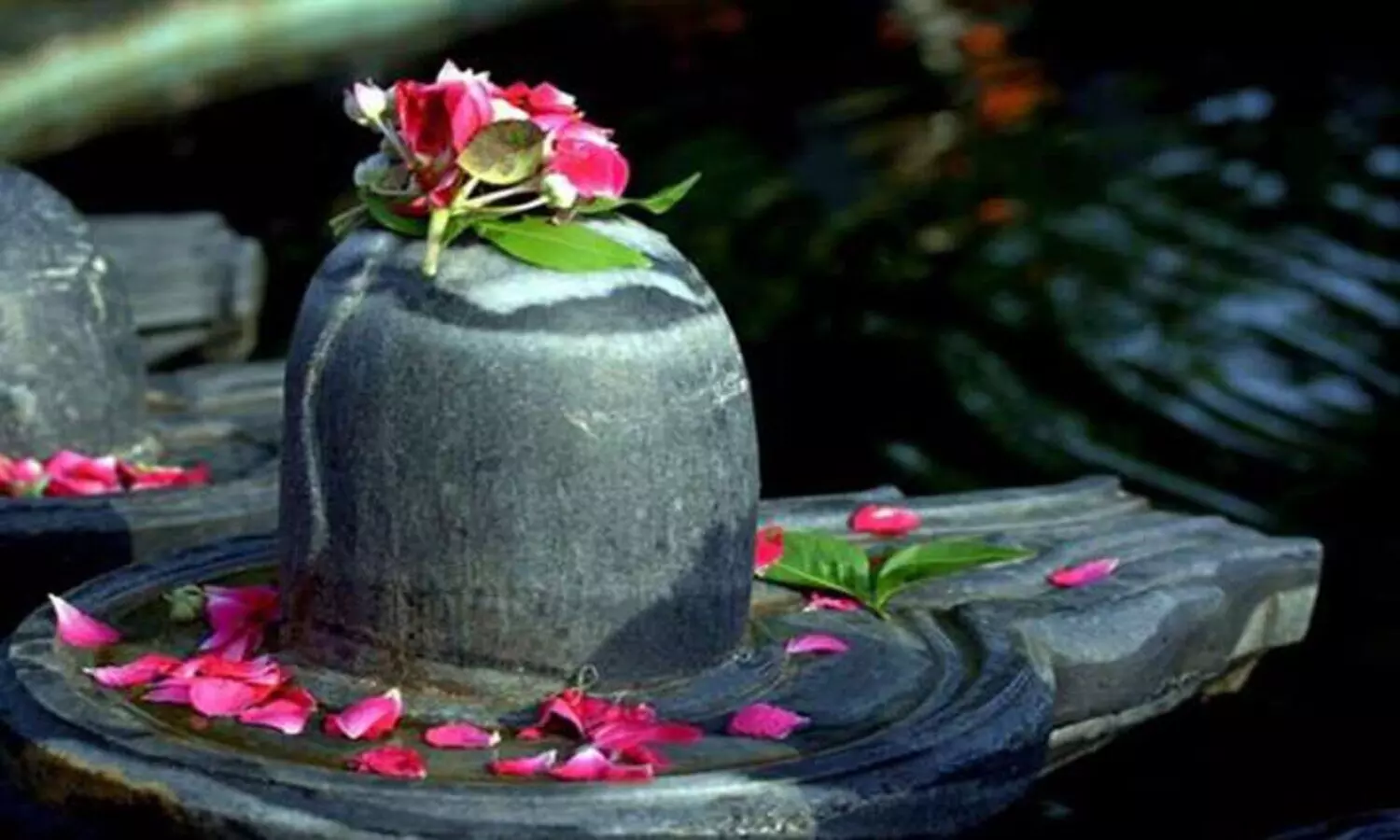 Mahashivratri 2022: शिव को बेलपत्र चढ़ाने का है विशेष महत्व, डायबिटीज कंट्रोल करने में भी बेहद सहायक