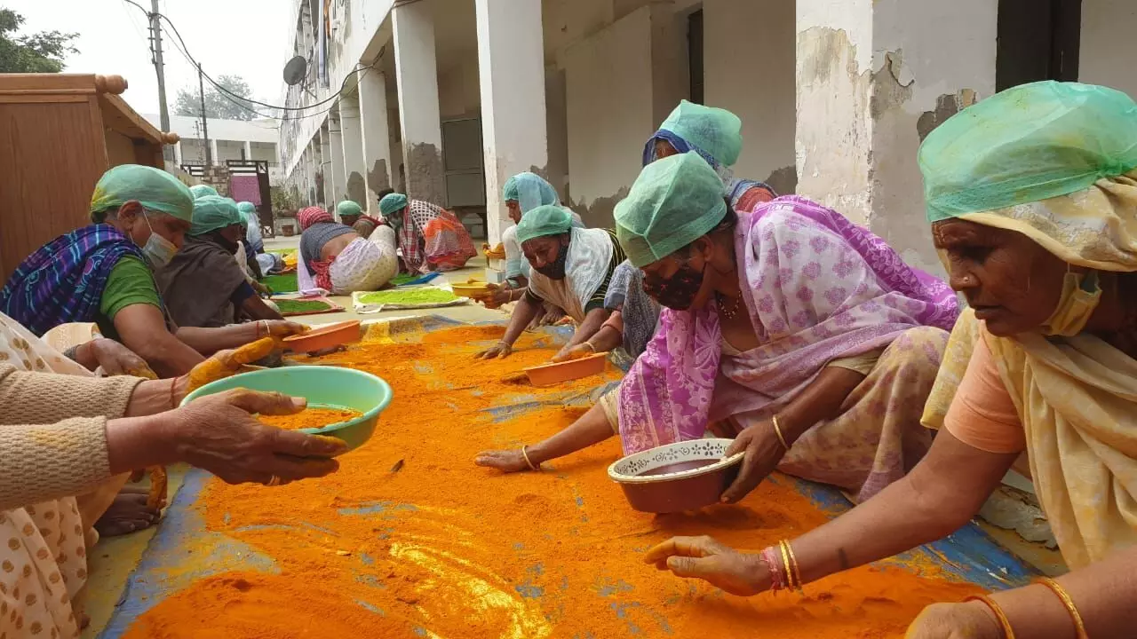 Women making natural gulal from flowers in Mathura