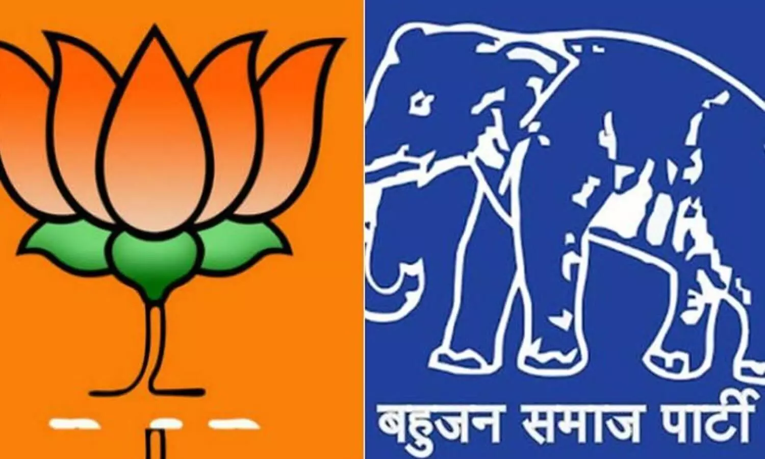 Base voters of BSP transferred to BJP in UP assembly elections 2022