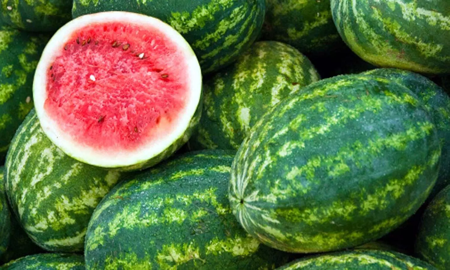 Watermelon Health Benefits: तरबूज खायें कब्ज भगायें, अन्य कई रोगों का भी है ये बेहतरीन इलाज