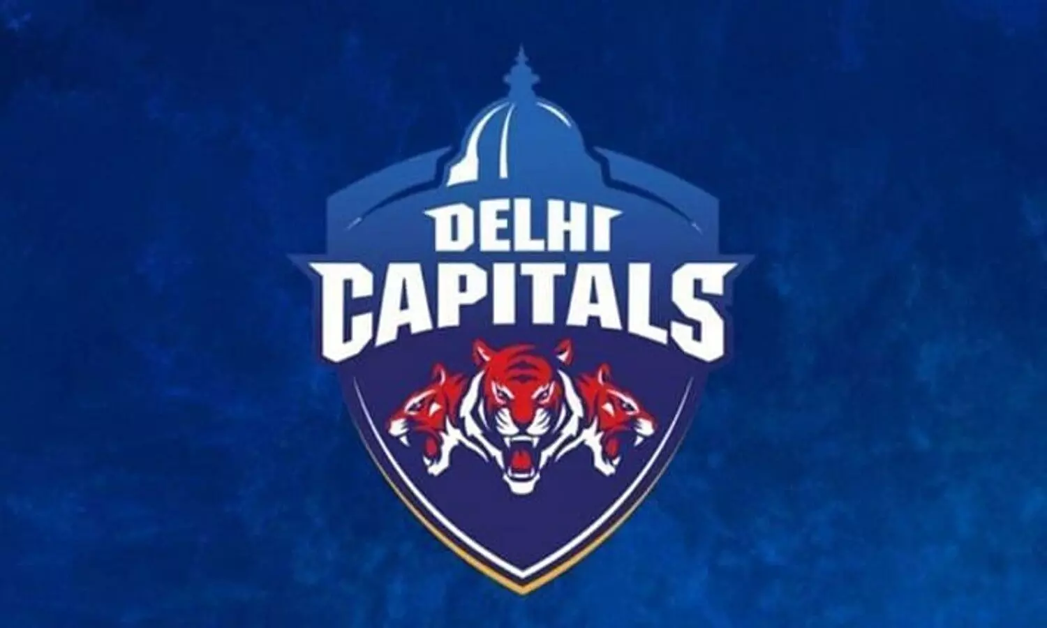 Delhi Capitals