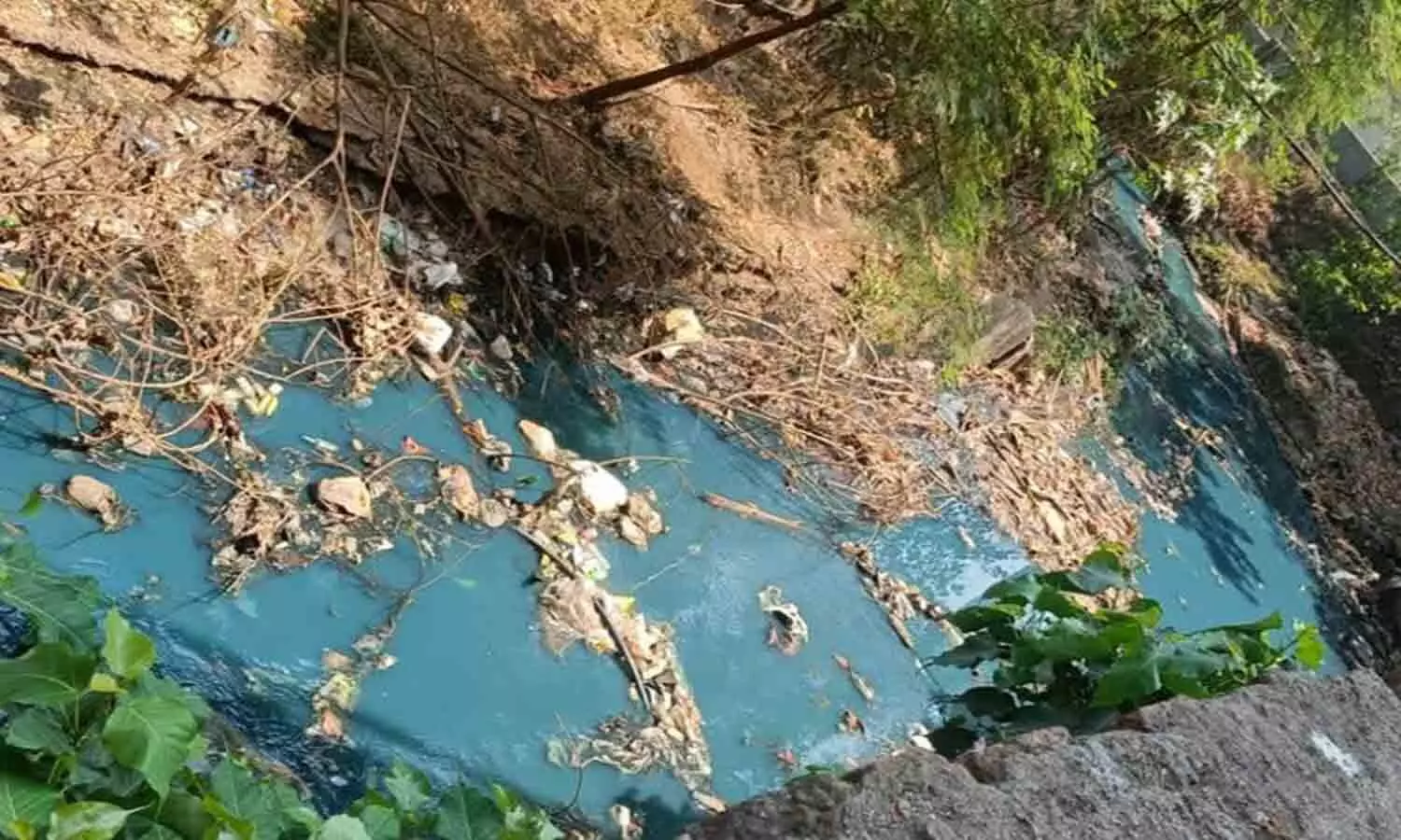 The water of Mumbai turned blue: People of Dombivali area were surprised to see the video becoming increasingly viral