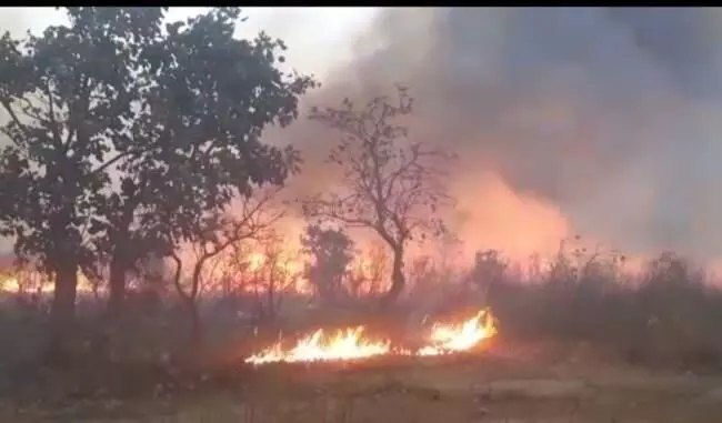 chitrakoot fierce fire broke many places up to mp in forests of patha