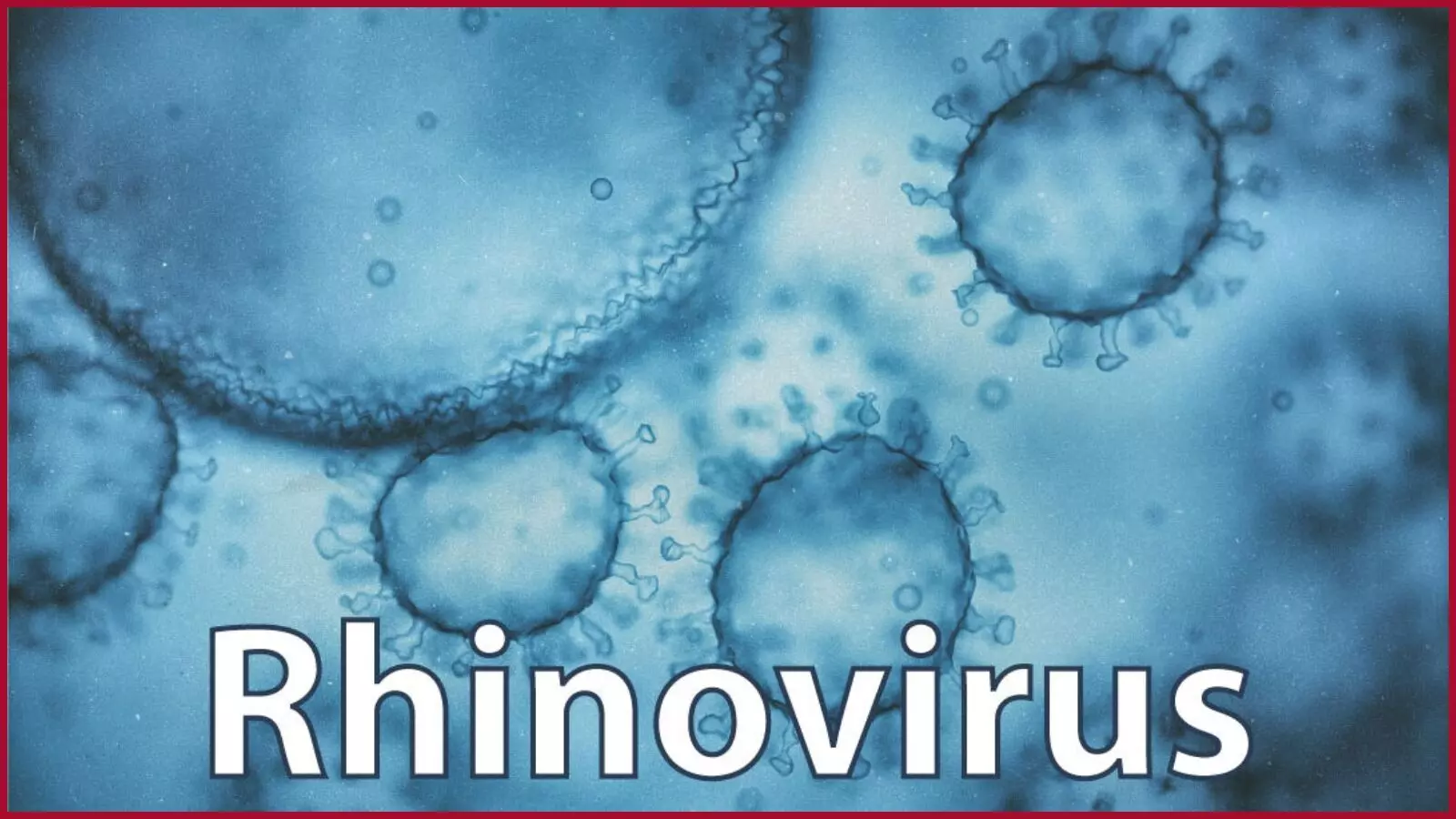 Rhinovirus Infection Cases