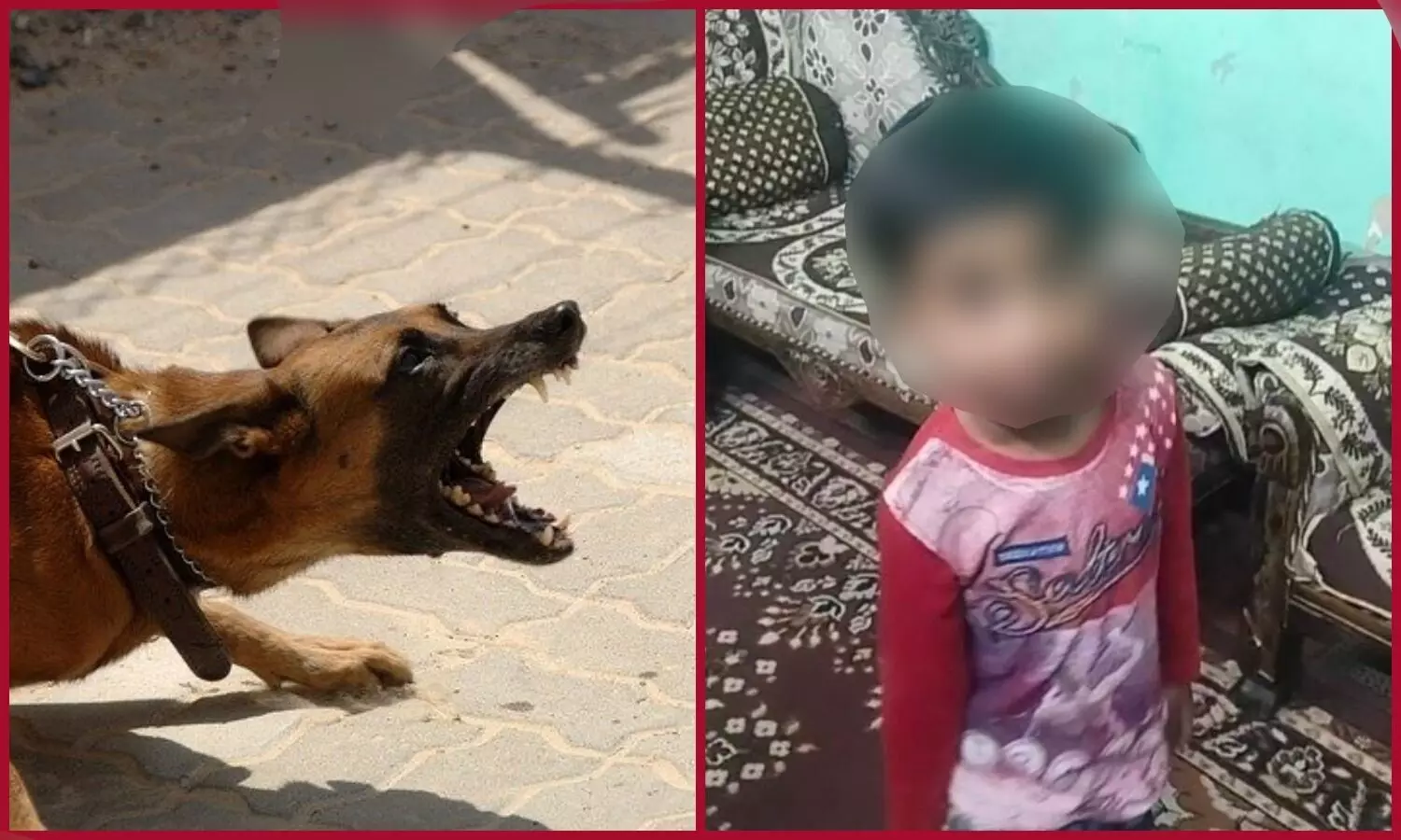 dogs attacked children in Lucknow