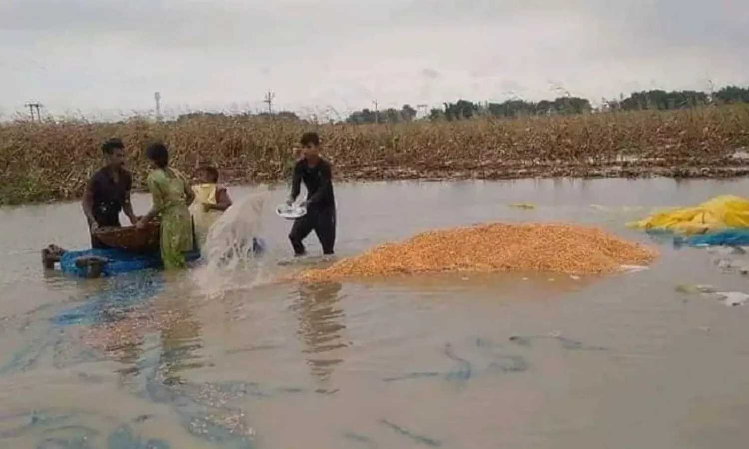 Unseasonal rain in Bihar