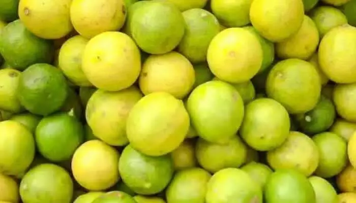 Lemon price hike In Moradabad