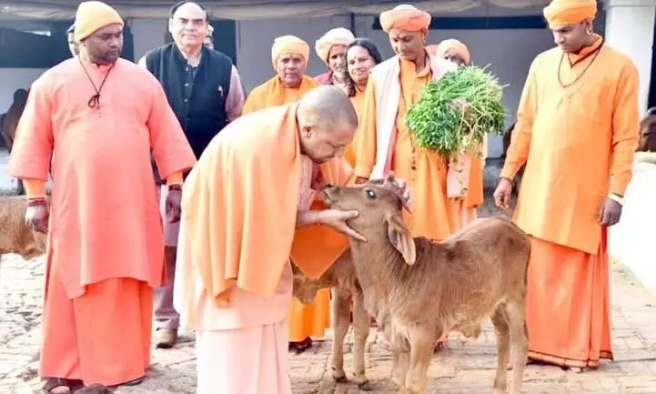Yogi government will ensure safety of crops along with protection of destitute cows