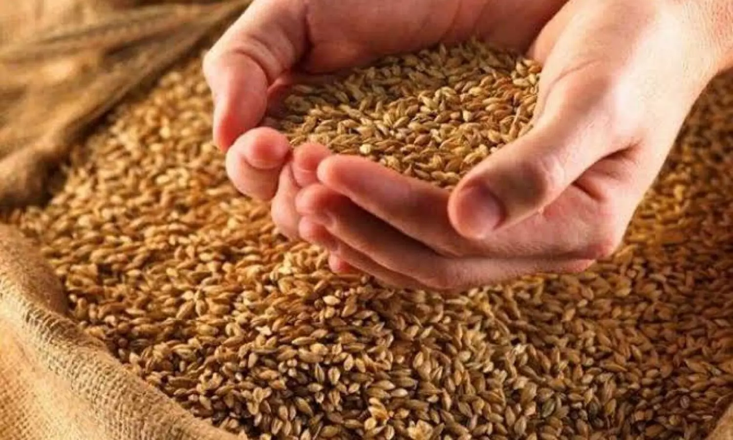Wheat demand on Russia Ukraine war