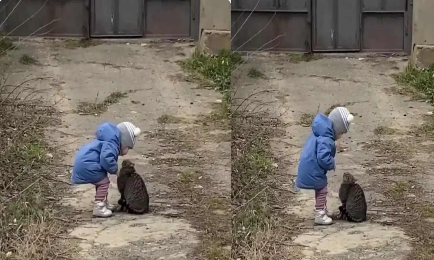 Innocent baby caressing the cat