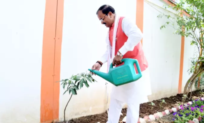 Deputy CM Keshav Maurya planted Ashoka and Mango saplings in his office