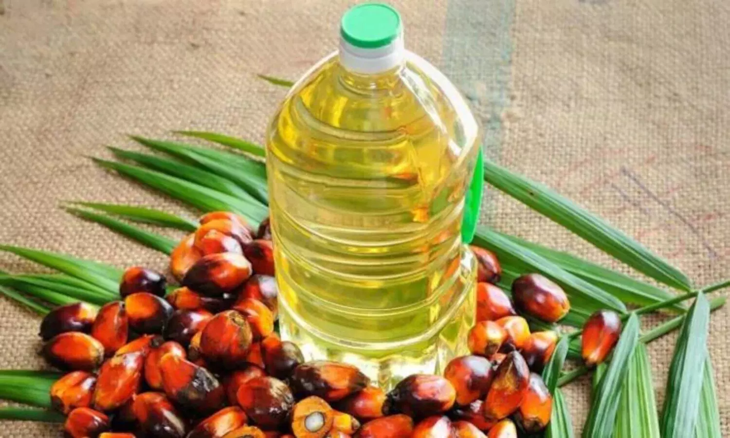 Palm Oil Crisis