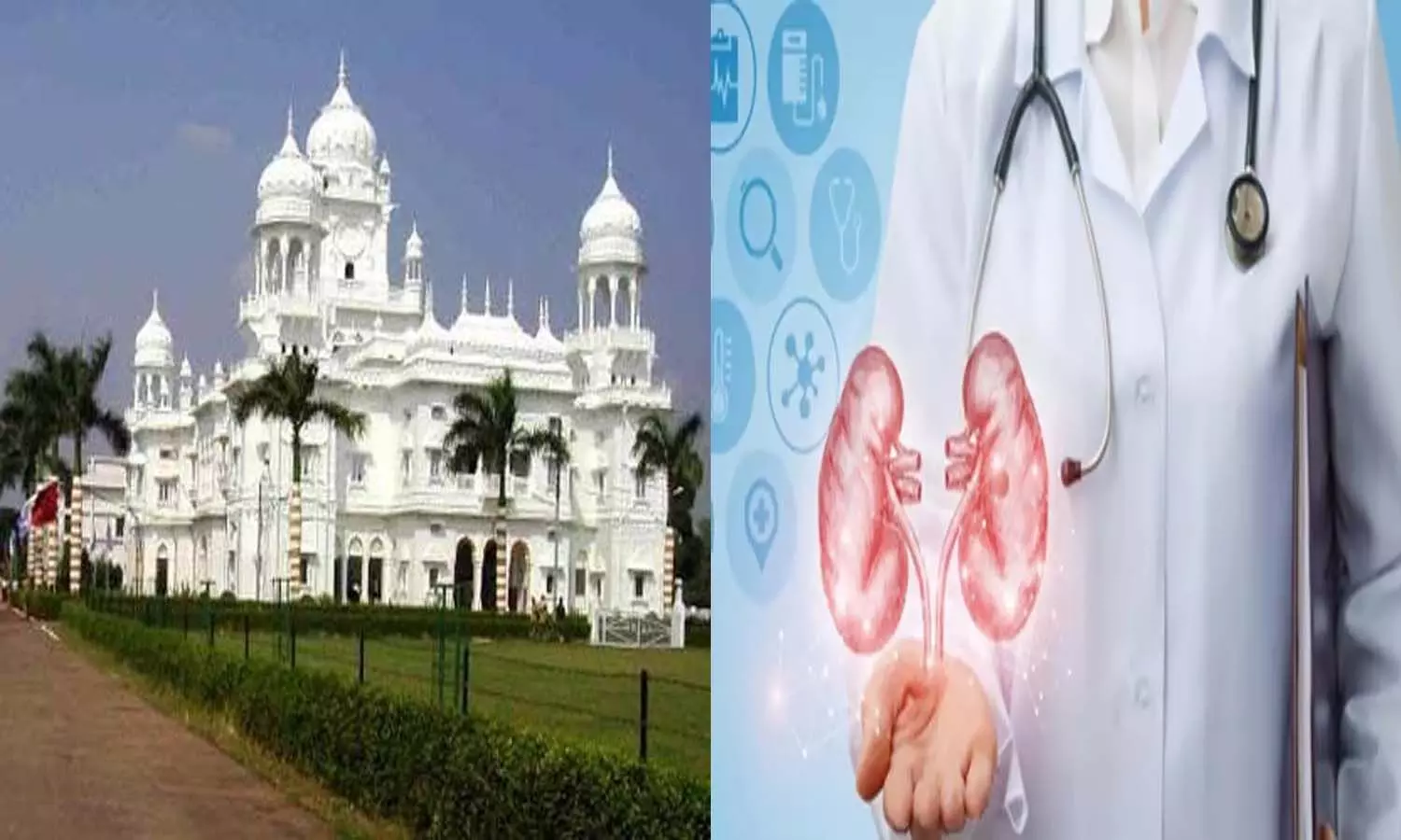 KGMU: There is no cure for kidney cancer with chemotherapy, all the experts of Lucknow discussed the treatment