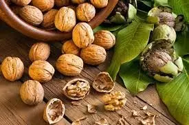 Walnuts removes Alzheimer