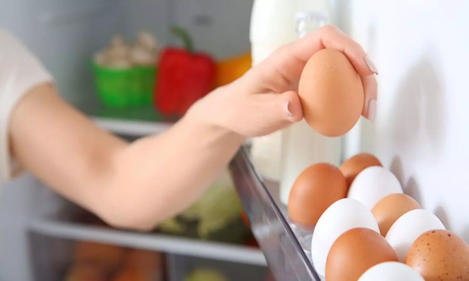 Eggs in fridge