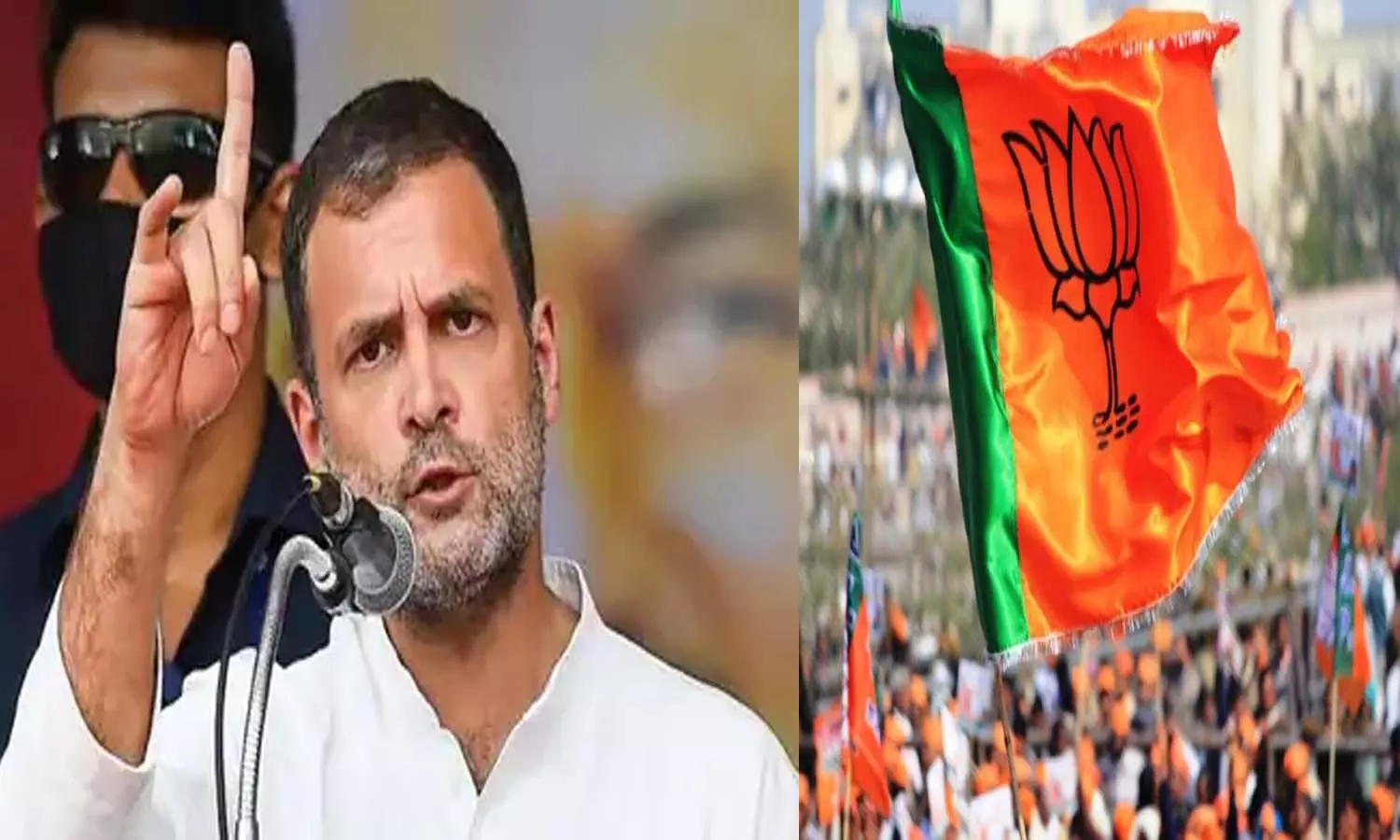Rahul Gandhis statement in Congresss Chintan Shivir, told BJP anti-Dalit