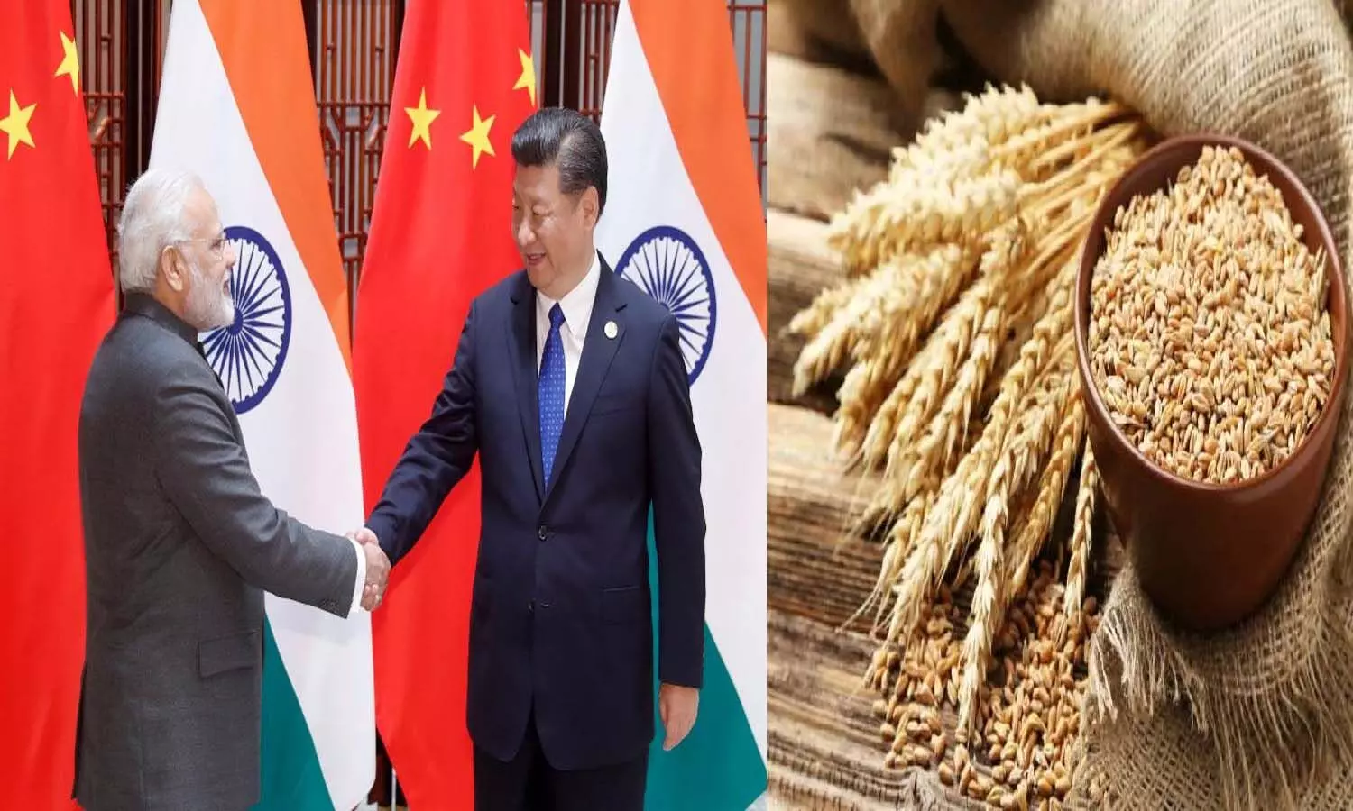Export Of wheat China supports India on wheat export ban issue, says G7 should go ahead