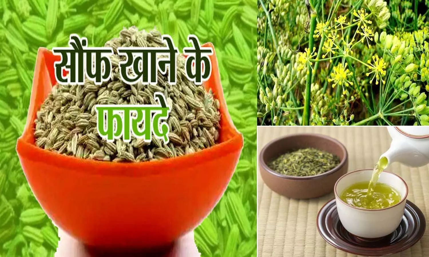 Saunf Benefits In Summer: Consuming fennel in summer is wonderful for health, keeps away from many diseases