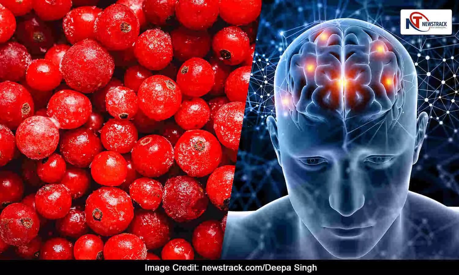 Cranberries and dementia