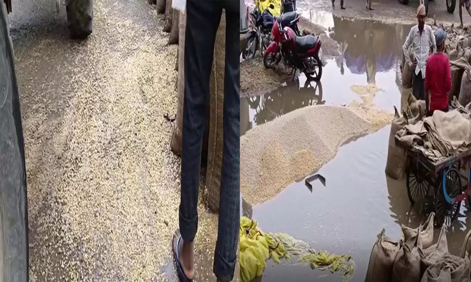 Waterlogging in the market due to the negligence of the secretary, the grain of the farmers wasted