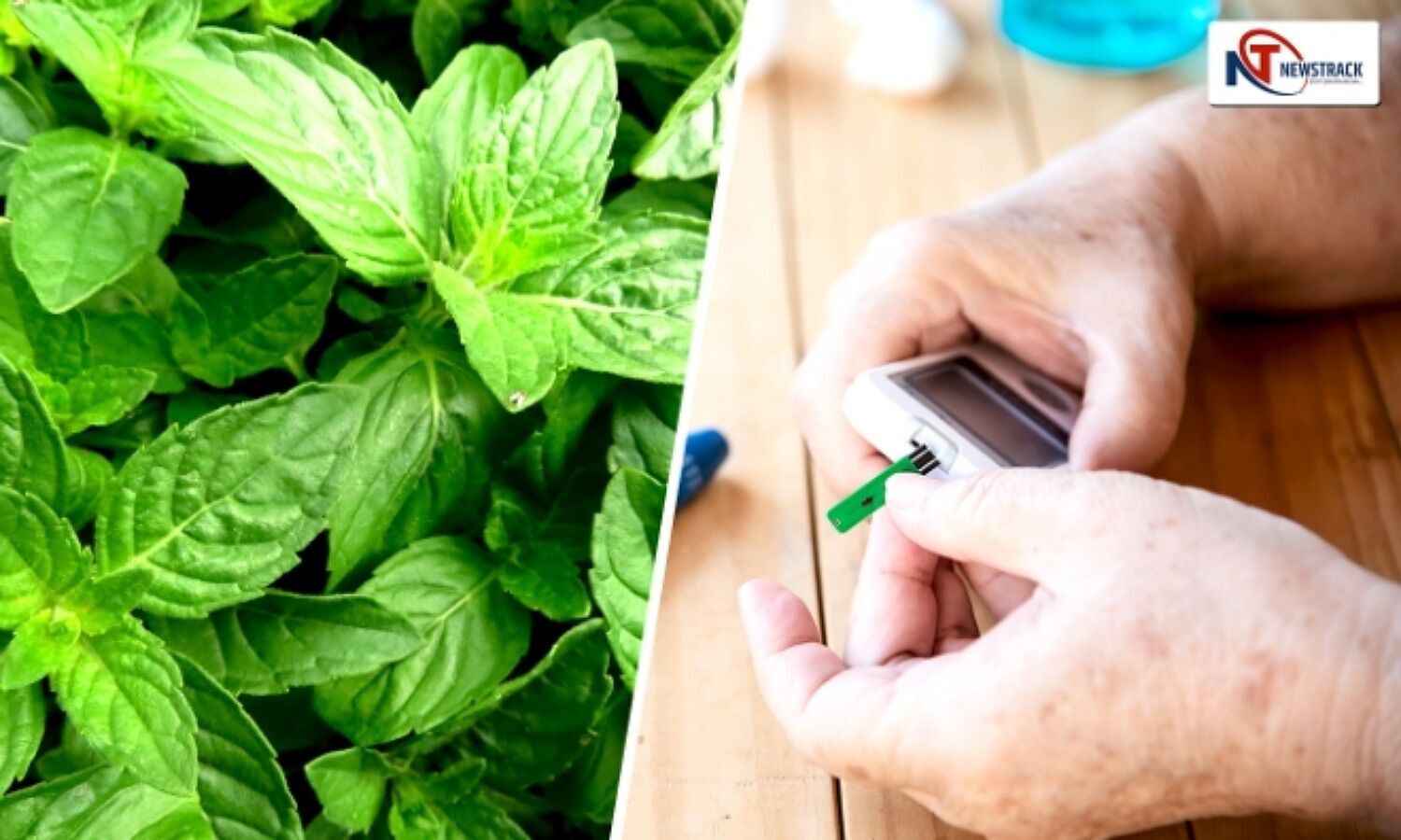 Tulsi in Diabetes: Tulsi is a boon for diabetic patients, know about its effect on insulin