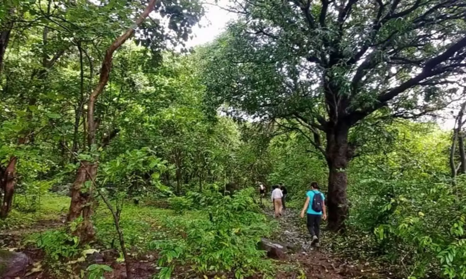 lonavala forest