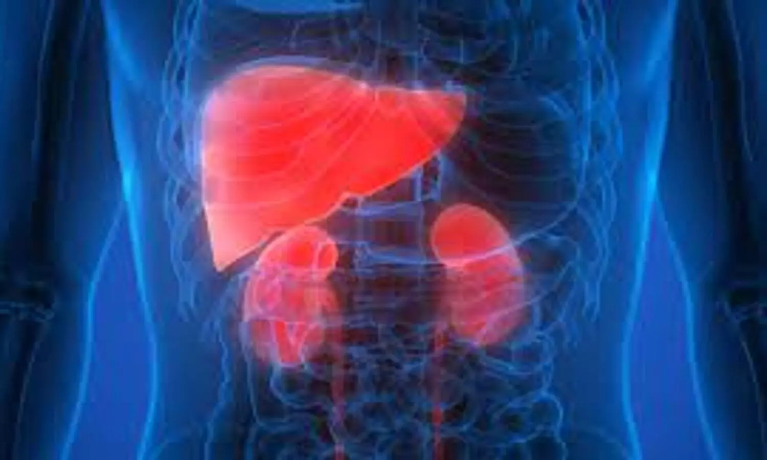 kidneys and liver