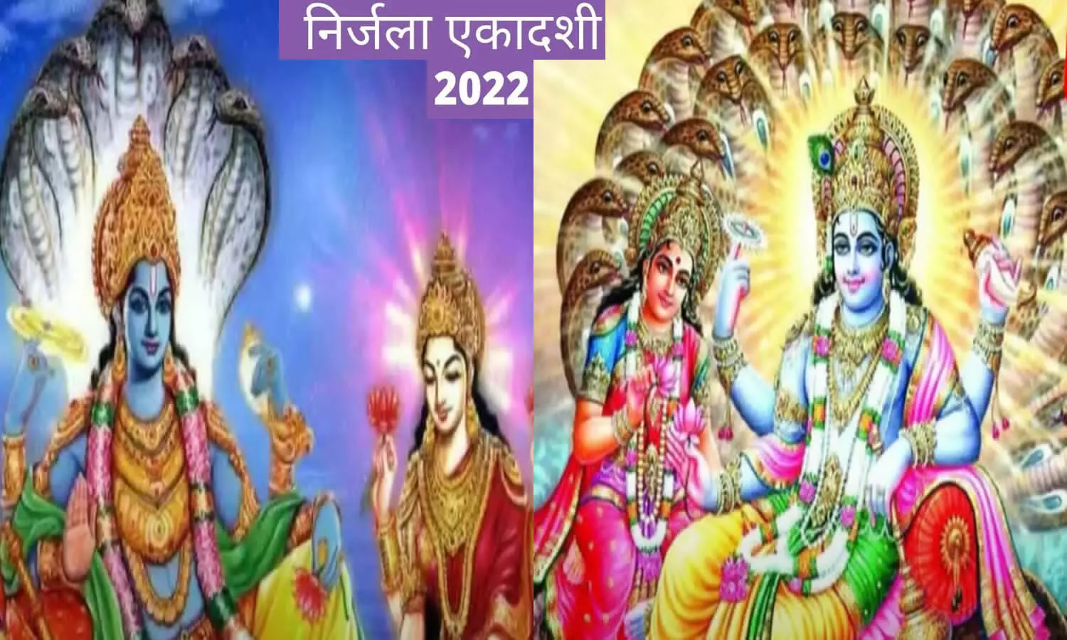 Nirjala Ekadashi 2022 Kab Hai Date