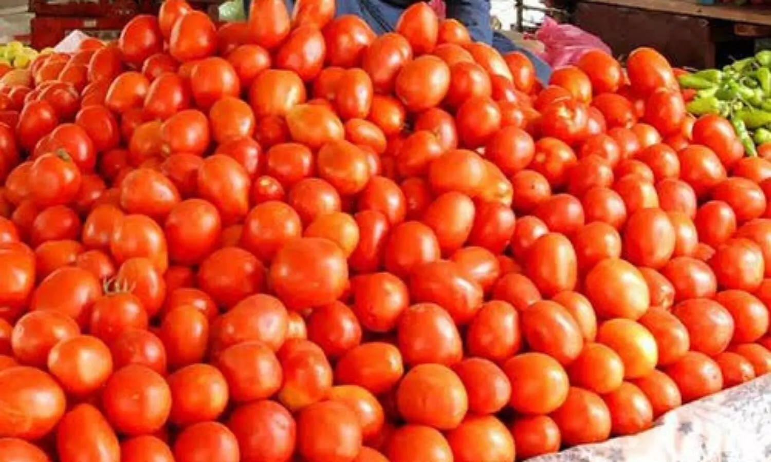 Tomato price increased