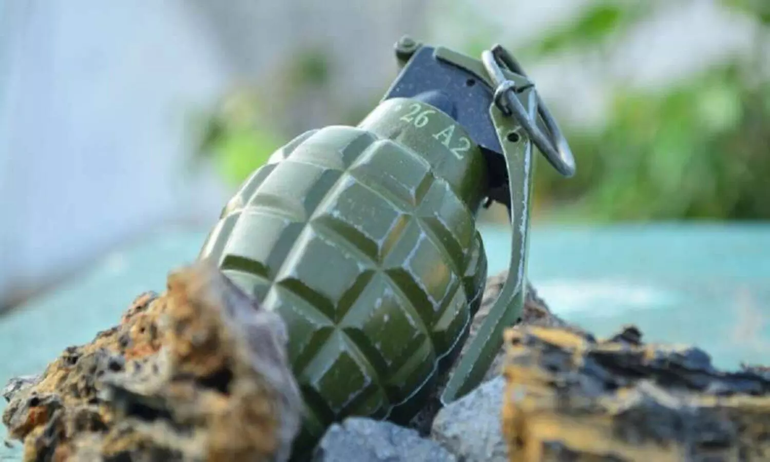 Hand grenade in Yamuna