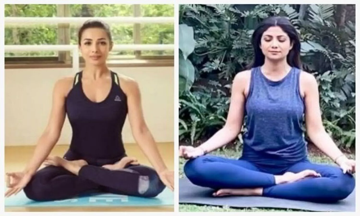 Yoga Day 2022: मशहूर इन बॉलीवुड अभिनेत्रियों का योगा पोज, देखें कुछ खास तस्वीरें