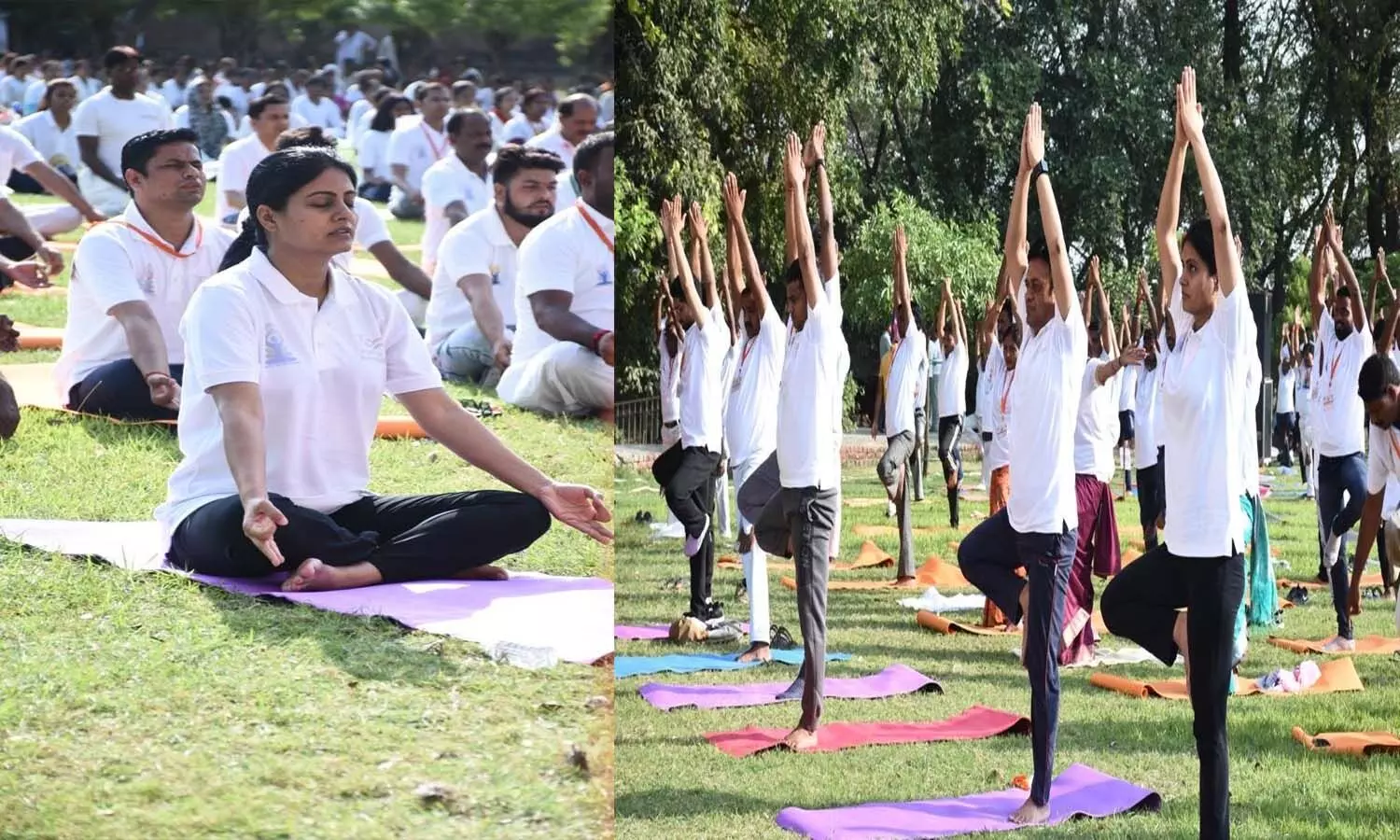 International Yoga Day: योग को दुनिया में स्वीकारिता दिलाने के लिए प्रधानमंत्री मोदी की है अहम भूमिका- अनुप्रिया पटेल