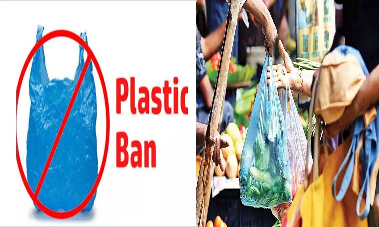 Race will start from 29th to avoid the use of plastic, power will be cut in illegal factories