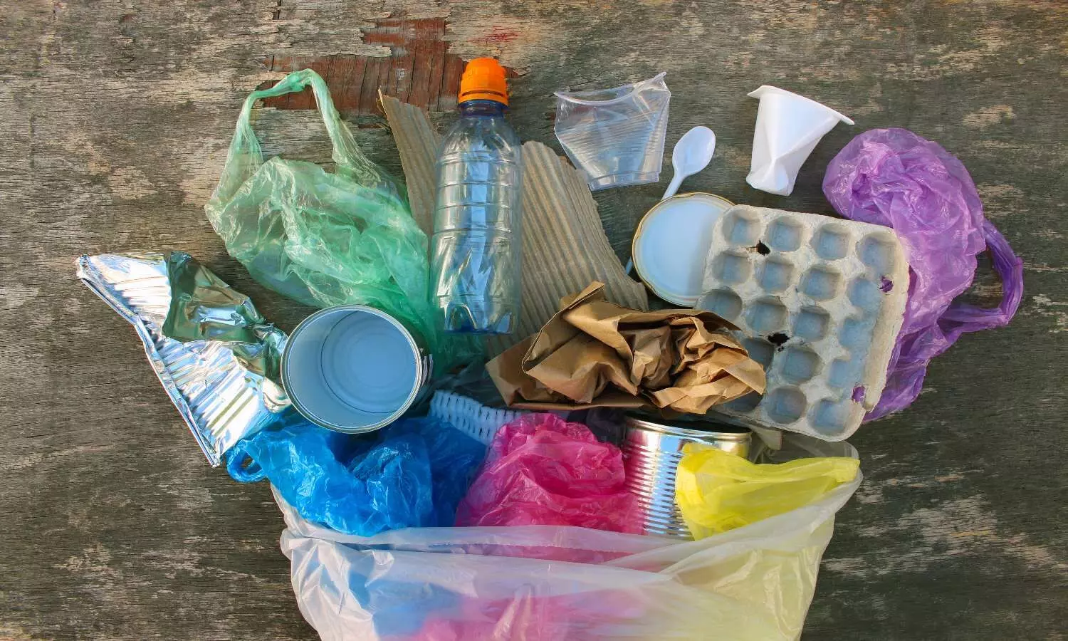 Single Use Plastic Ban India