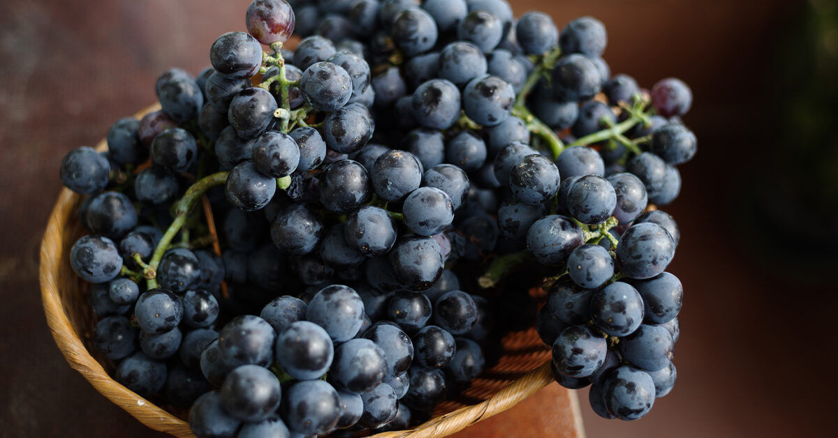 Grapes Health Benefits: Consumption of grapes will keep diseases far away, balances high blood pressure for a moment